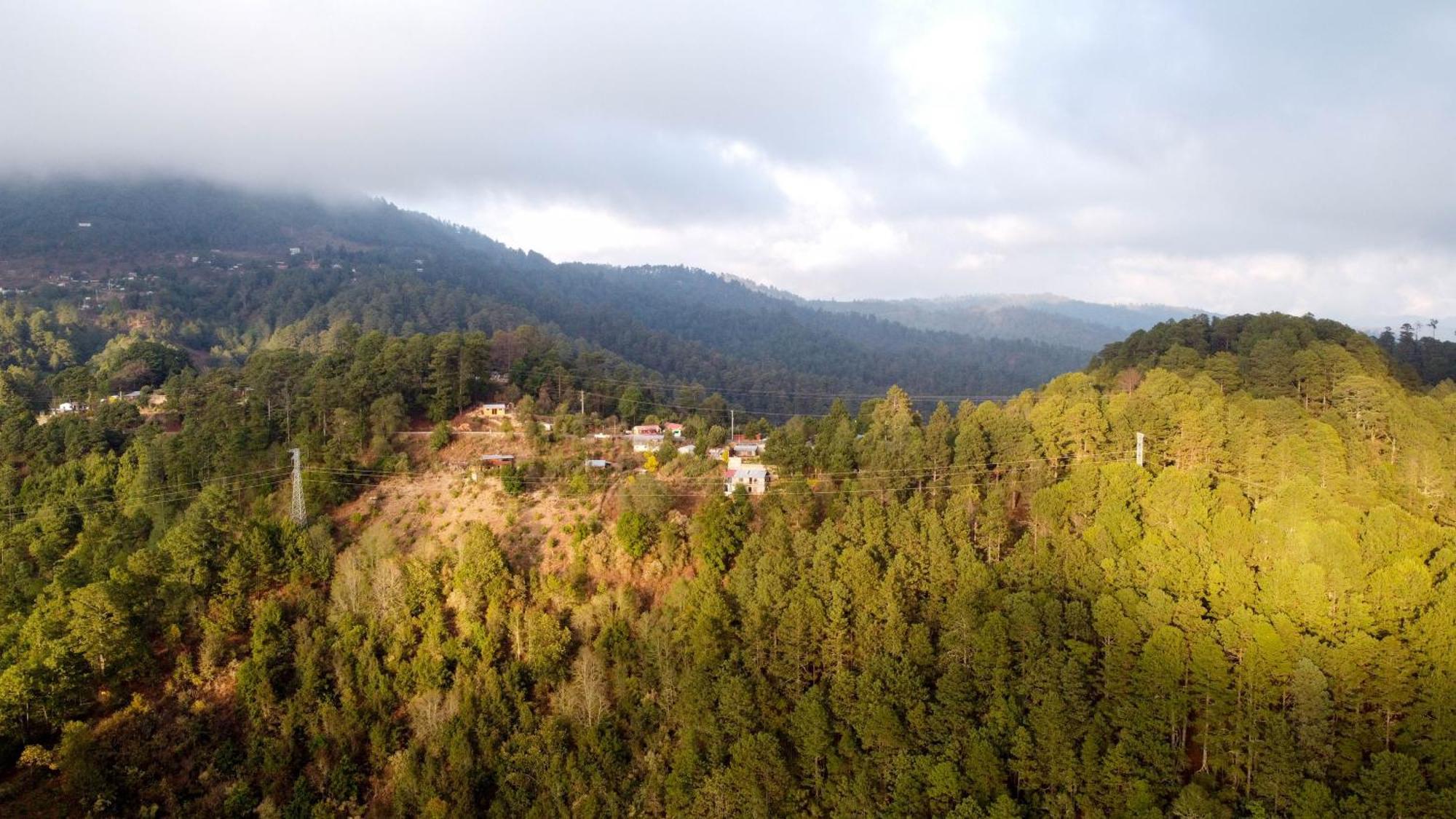 San Jose Del Pacifico- Cabanas Camino Al Cielo 2 Exteriör bild